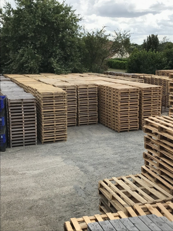 Stock de palettes 800 x 1200 sur le site de Technopal à Spay